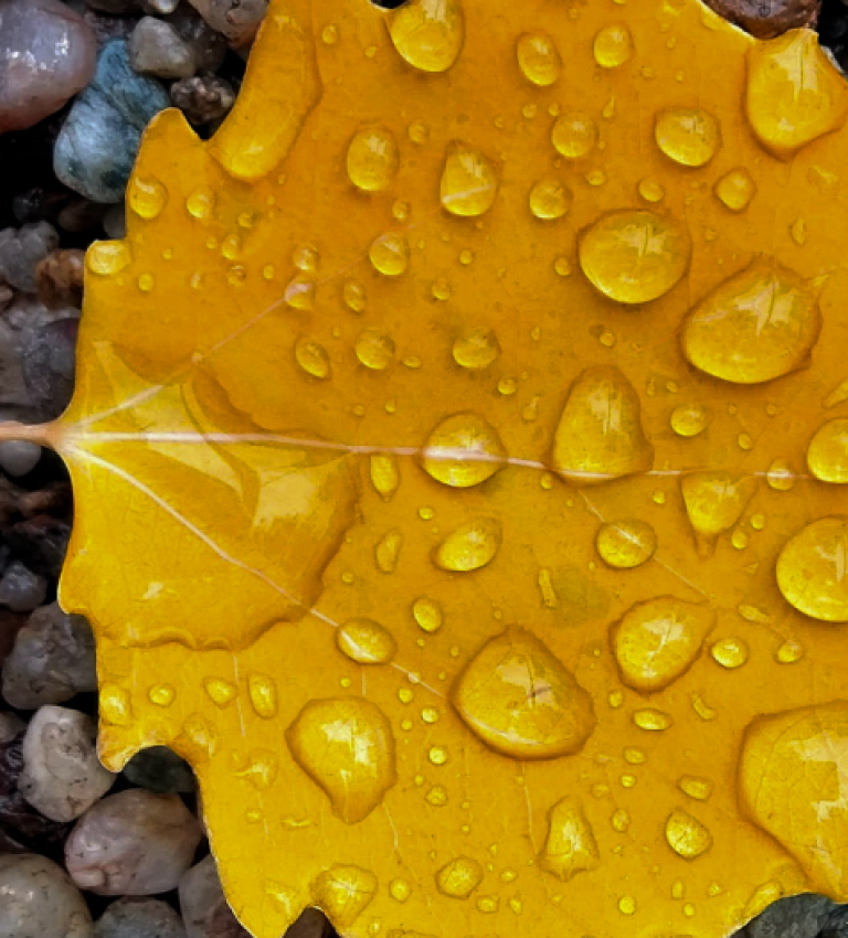 We are committed to an active corporate responsibility strategy